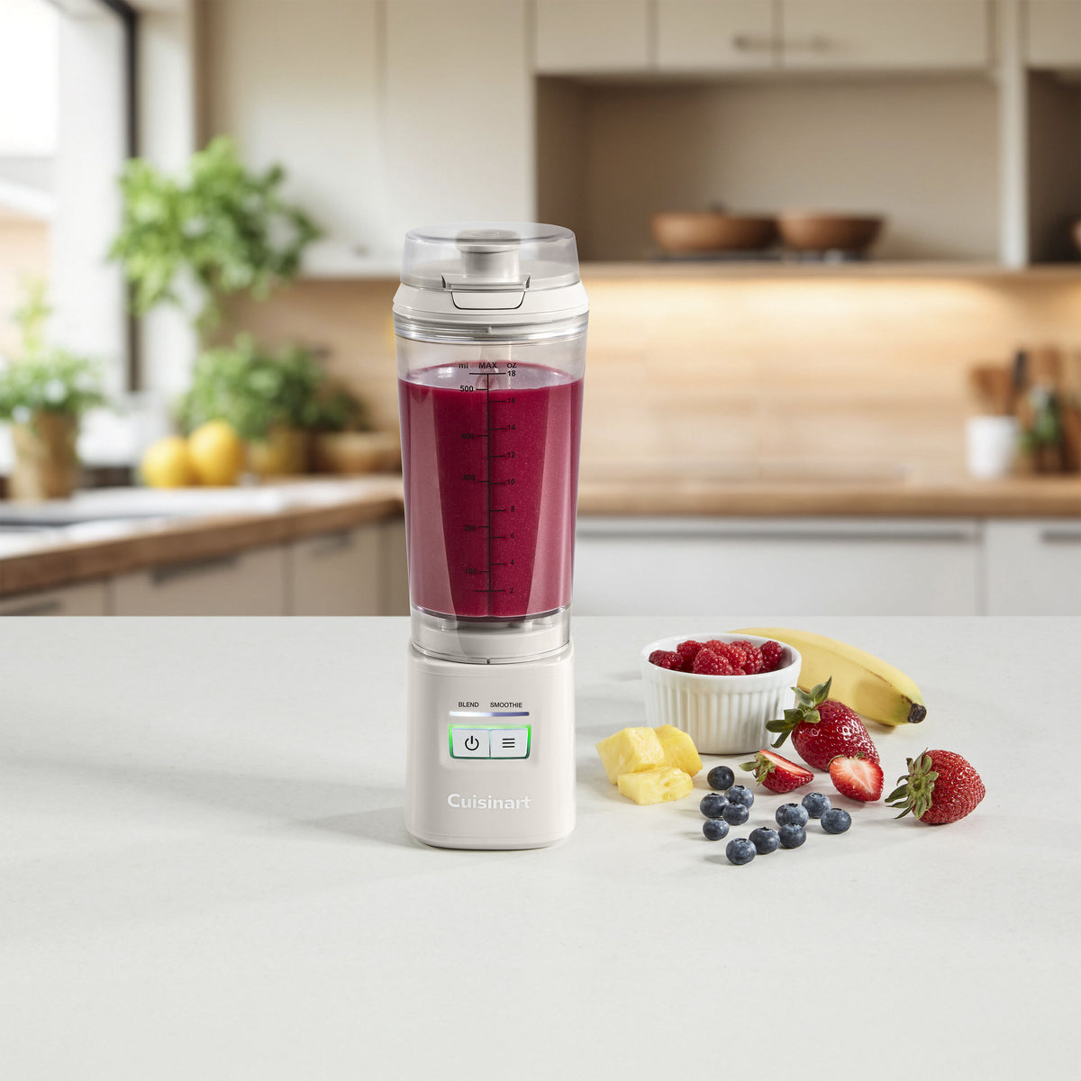 Cuisinart Personal Portable Blender